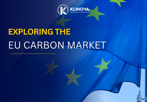 The EU carbon market